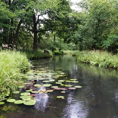 Blugarden Ferienapartments Im Spreewald Apartment Lubben