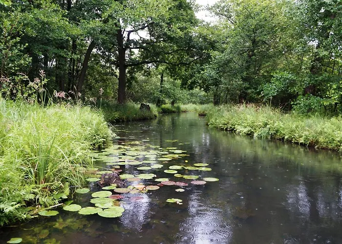 Blugarden Ferienapartments Im Spreewald Apartment Lubben